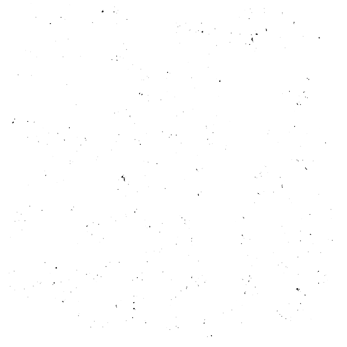 speck bg – transparent – Dia Kline